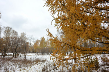 Similar image 21895977