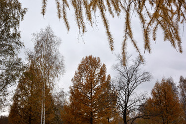 Similar image 21895978