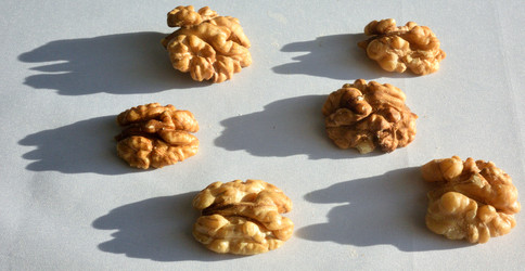 Similar image 21895982