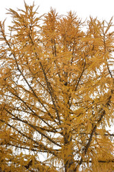 Similar image 21895984