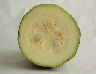 Similar image 21895987