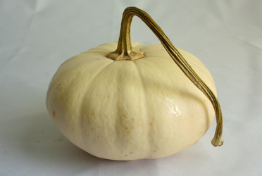 Similar image 21895992