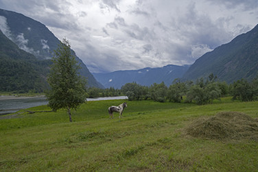 Similar image 21896001