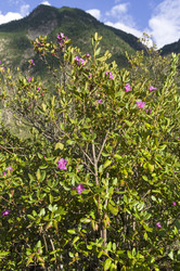 Similar image 21896011