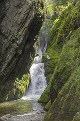 Similar image 21896013