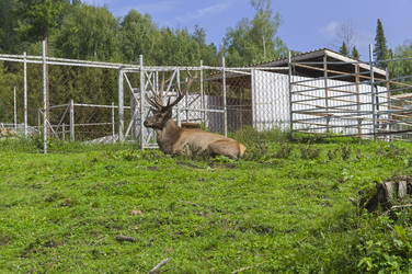 Similar image 21896014