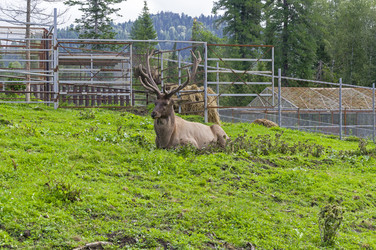 Similar image 21896015