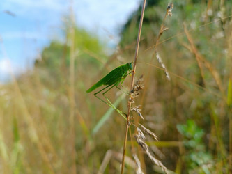 Similar image 21895848