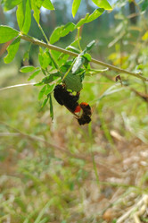 Similar image 21895849