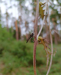 Similar image 21895850