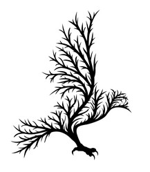 Similar image 21895851