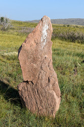 Similar image 21895856