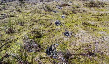 Similar image 21897437