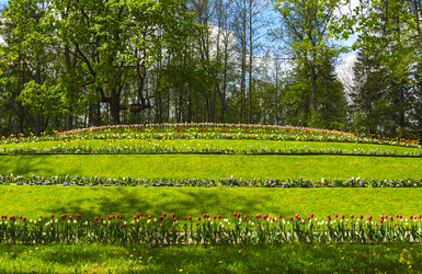 Similar image 21897440