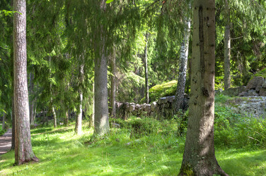 Similar image 21897442