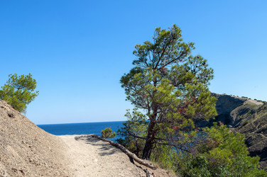 Similar image 21897450