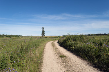 Similar image 21897457