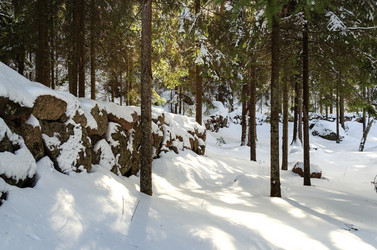 Similar image 21897461