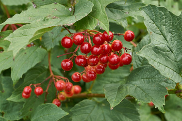 Similar image 21897321