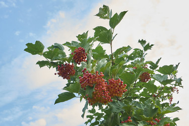 Similar image 21897323