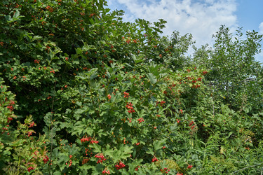 Similar image 21897325