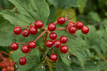 Similar image 21897326