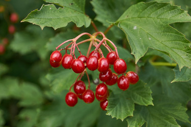 Similar image 21897327