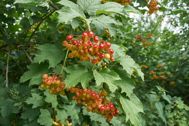 Similar image 21897329