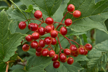 Similar image 21897330