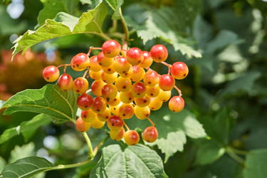 Similar image 21898265