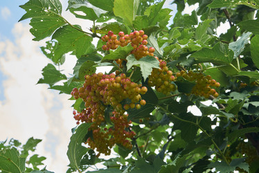 Similar image 21898266