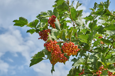 Similar image 21898268