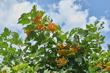 Similar image 21898269