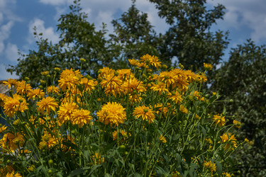 Similar image 21898271