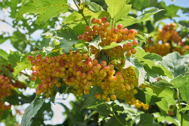 Similar image 21898272