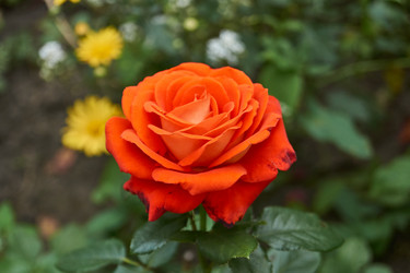 Similar image 21898273