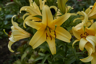 Similar image 21898276