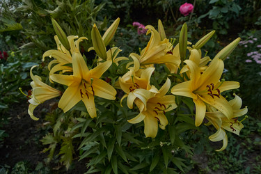 Similar image 21898277