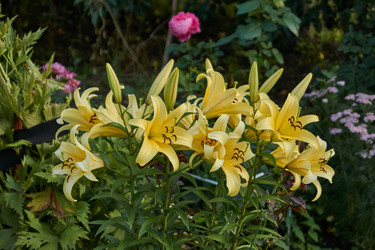 Similar image 21898279