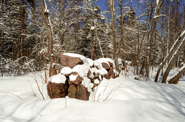 Similar image 21898292