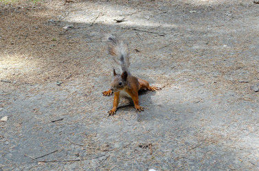 Similar image 21898302