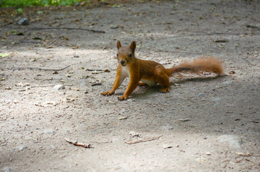 Similar image 21898304