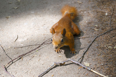 Similar image 21898307