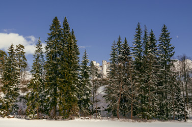 Similar image 21902642