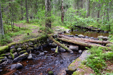 Similar image 21902645