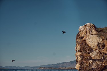 Similar image 21897396