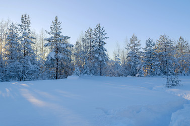 Similar image 21898361