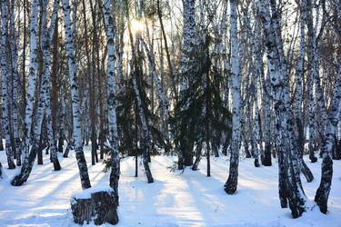 Similar image 21897628