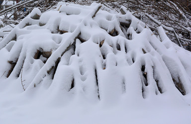 Similar image 21897630