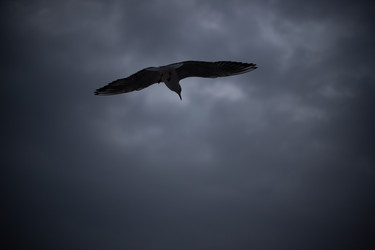 Similar image 21897362